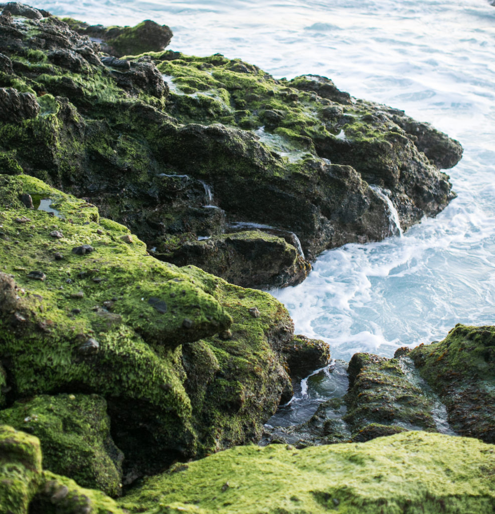 Golden moments in Laguna Beach. Photo by Samuel.Black