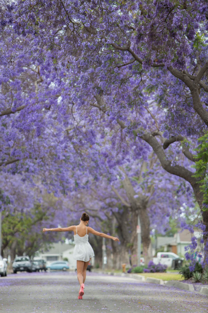 Jacaranda Magic Streetstyle. Dress by STyleStalker.Photo by Samuel.Black