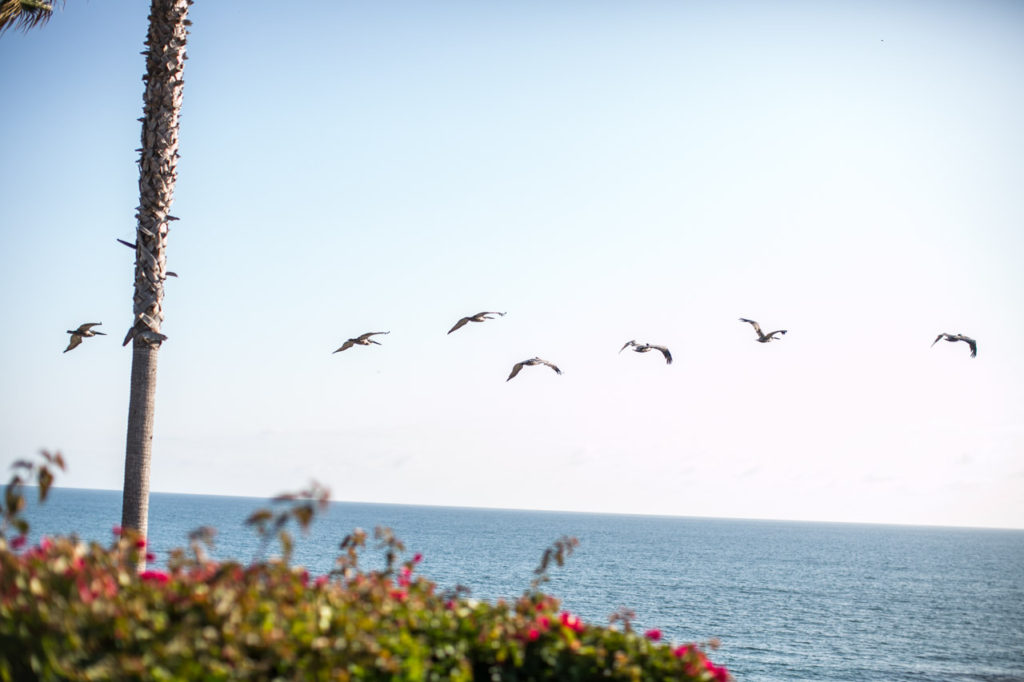 Beach day in Laguna. Photos by Samuel.Black