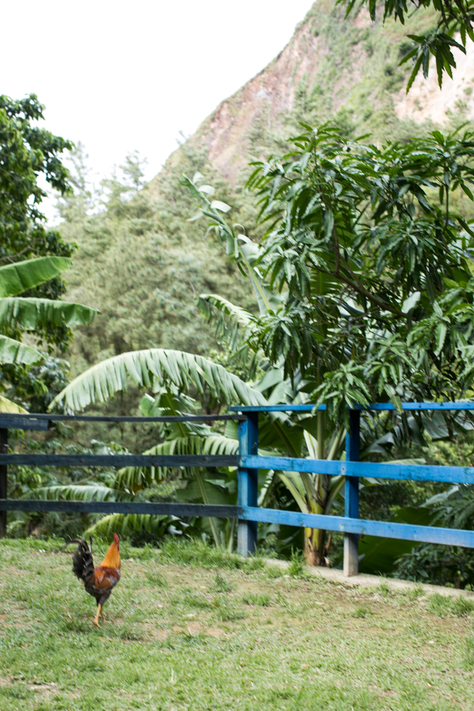 Adventures in St. Lucia. Blogger Xenia Mz photographed by Samuel Black